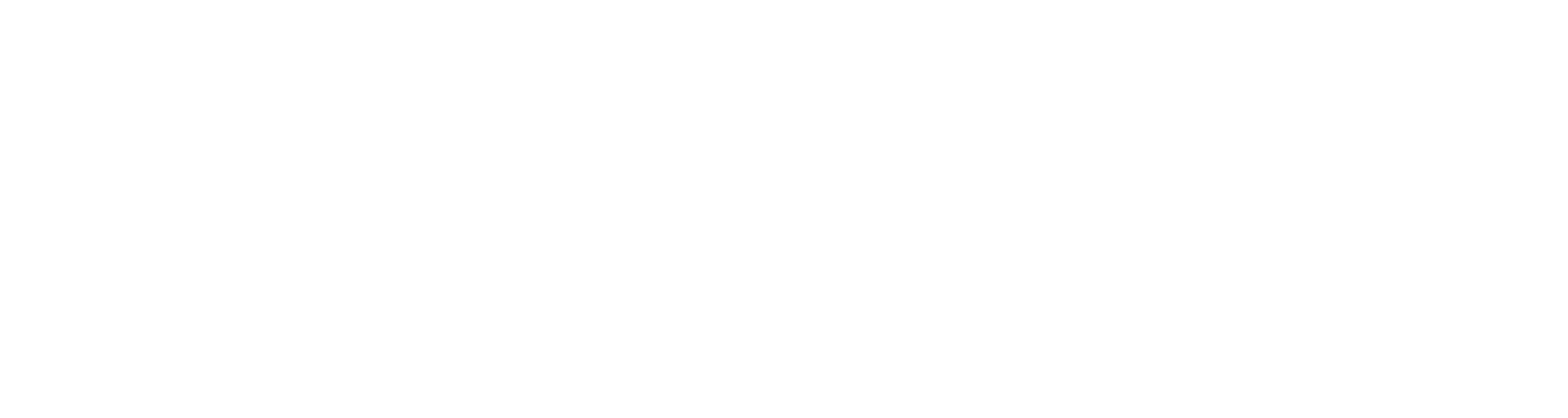 Main Logo
